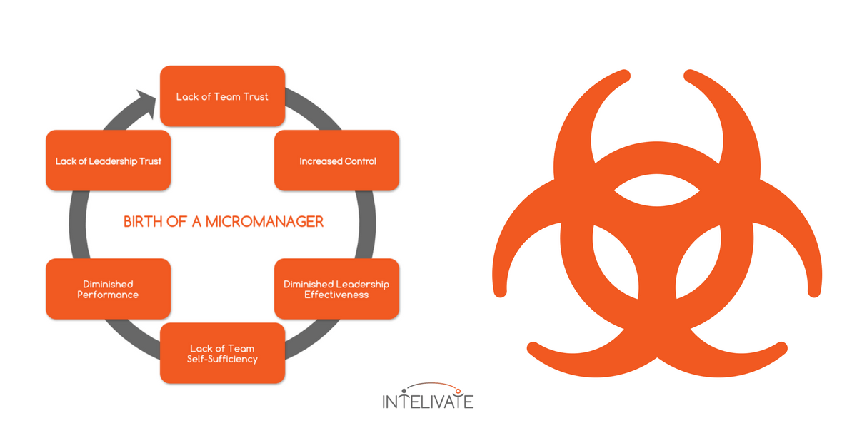 Stop The Destructive Cycle Of A Toxic Leadership